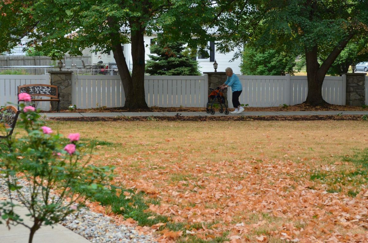 Rosewalk