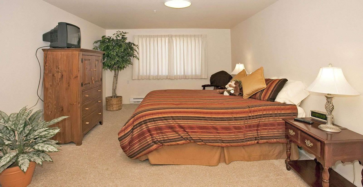 A cozy bedroom with a striped bedspread, wooden dresser, and potted plant.