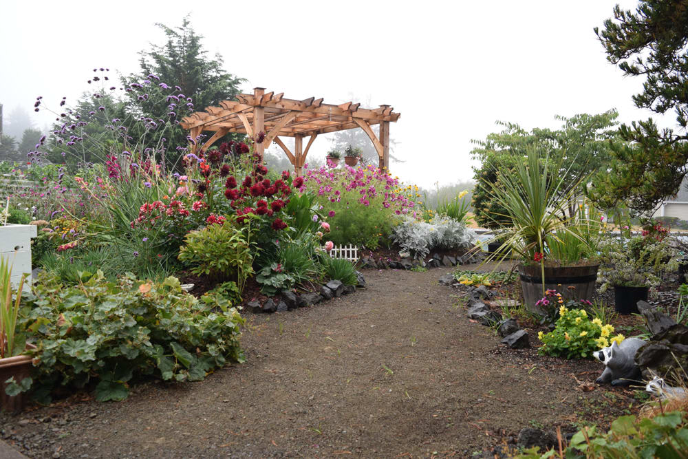 A beautifully landscaped garden featuring a gravel pathway and a wooden pergola surrounded by lush flowers and greenery.