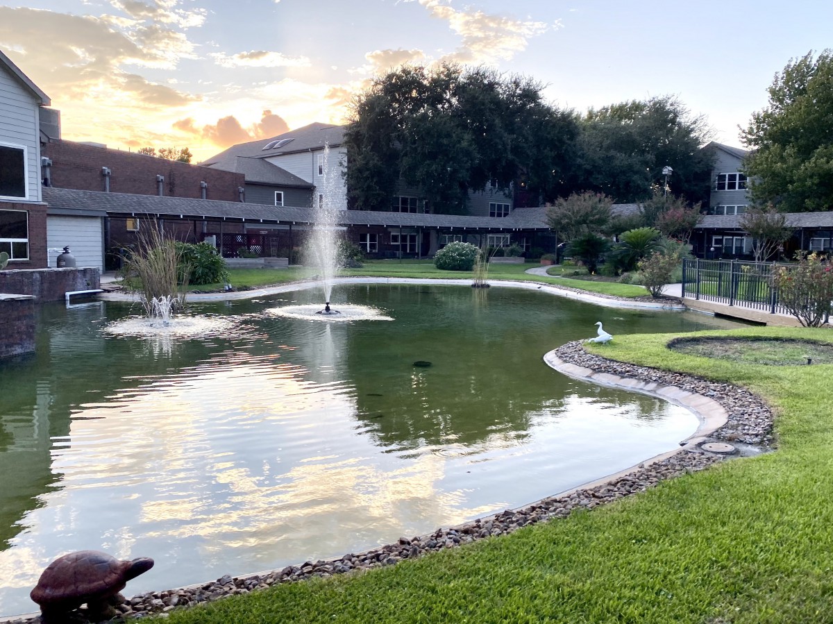 A tranquil pond with fountains surrounded by greenery at sunset.