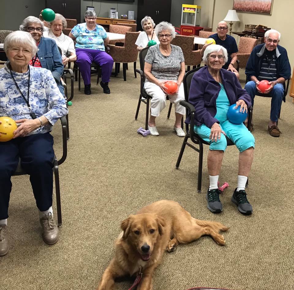 A group of seniors sitting in chairs with exercise balls, accompanied by a therapy dog indoors.