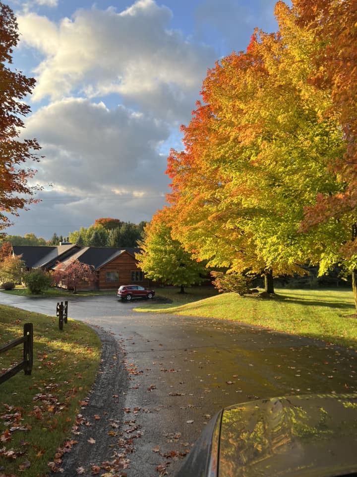 A picturesque neighborhood road lined with vibrant autumn trees basking in the sunlight.