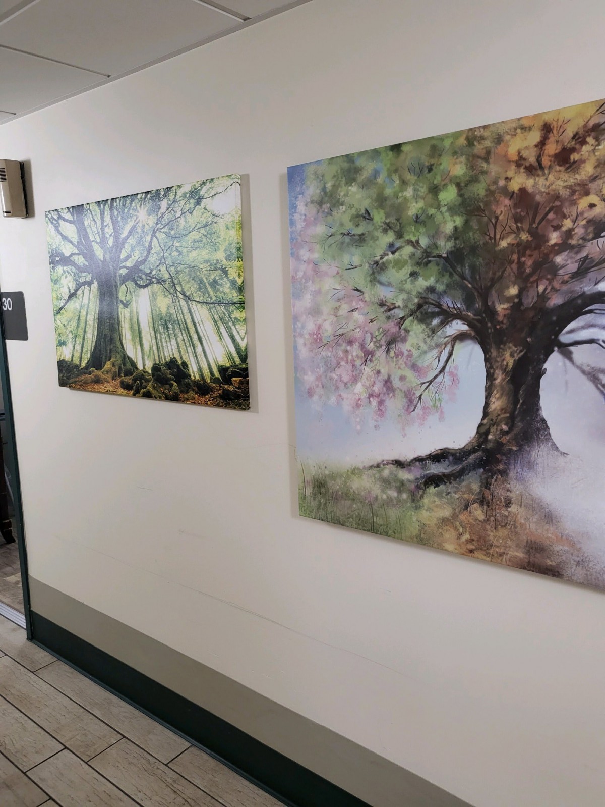 Two paintings of trees displayed in a hallway.