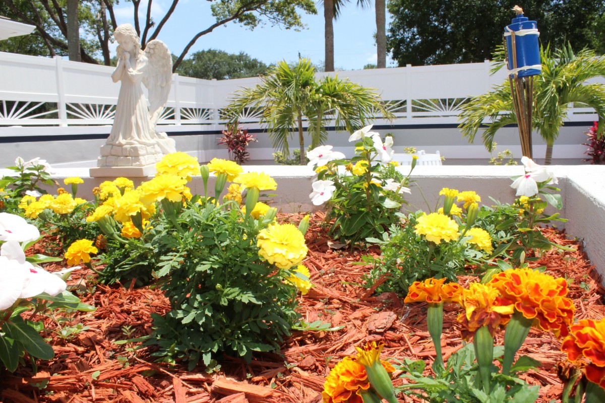 A beautiful garden with vibrant yellow flowers and an angel statue.