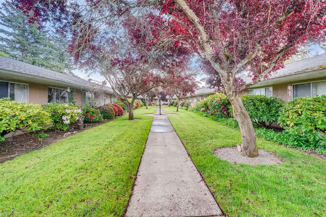 A picturesque pathway lined with vibrant trees and lush greenery.