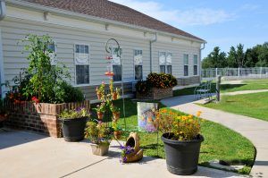 A quaint building with a well-maintained garden featuring various potted plants and flowers on a sunny day.