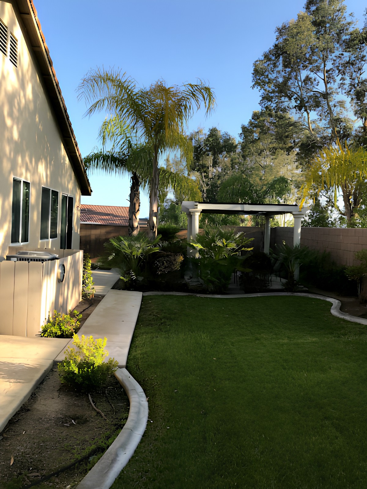 A well-maintained backyard with a lush green lawn, palm trees, and a clear blue sky.