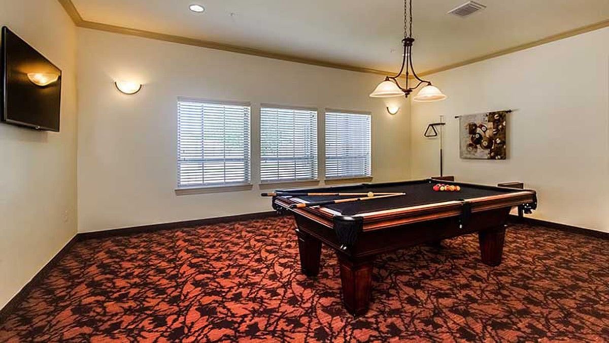 Vitality Court Texas Star