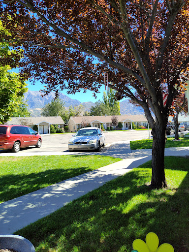 A sunny day in a residential neighborhood featuring parked cars along the street and a tree providing shade.