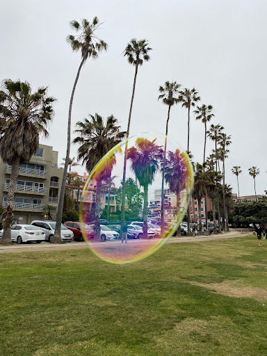 A surreal view of a park with palm trees, enhanced by a colorful bubble effect.