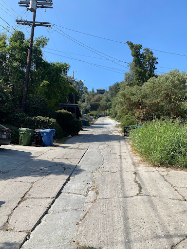 A serene, overgrown alleyway on a sunny day.