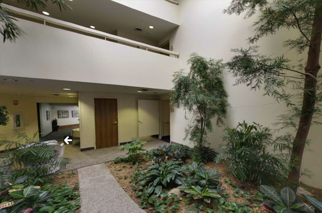 An office atrium featuring a well-maintained indoor garden with lush plants.