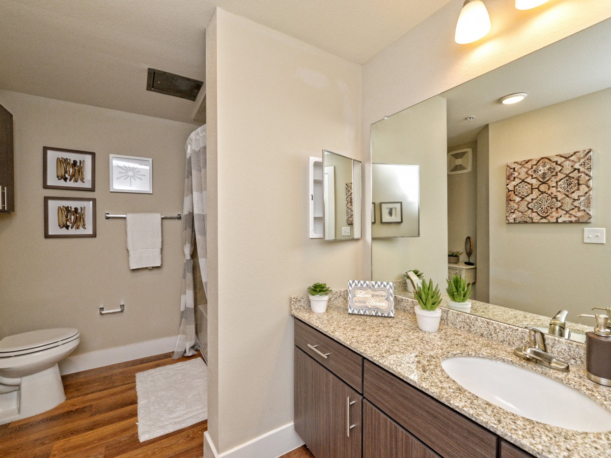 A modern bathroom with a granite countertop, decorative plants, and a walk-in shower.
