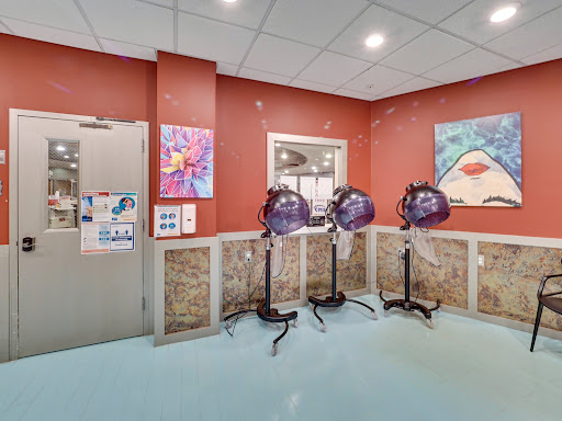A vibrant and modern hair salon interior featuring hairdryers and colorful artwork.