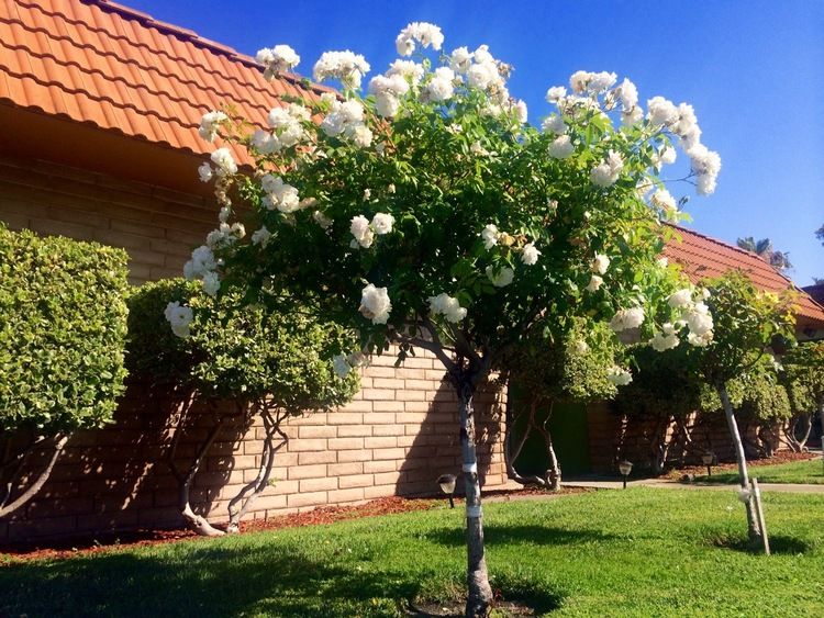 Valley House Rehabilitation Center