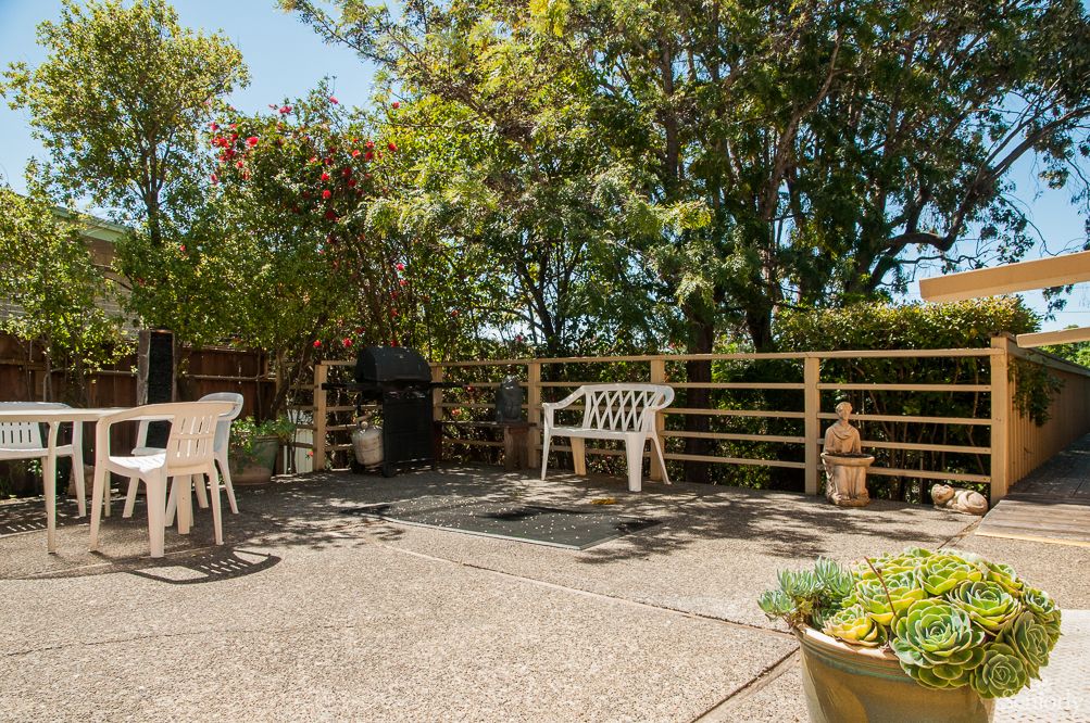 A sunny patio with outdoor seating, surrounded by trees and a wooden fence.