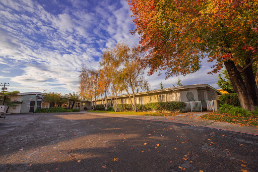 A picturesque view of an autumn scene featuring colorful trees and a serene building under a beautiful sky.