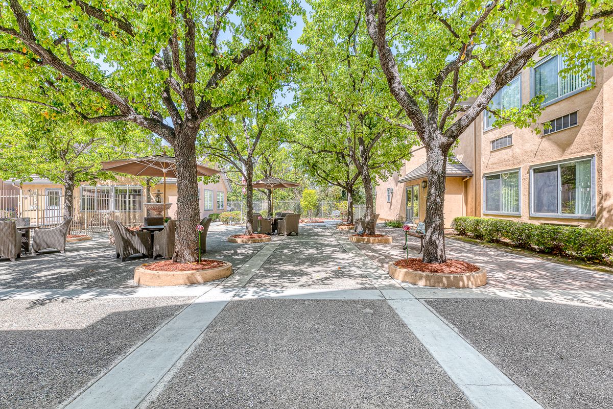 A scenic outdoor area with a tree-lined pathway flanked by benches and buildings.