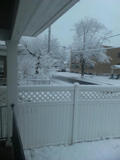 A serene winter scene featuring snow-covered trees and a white picket fence.