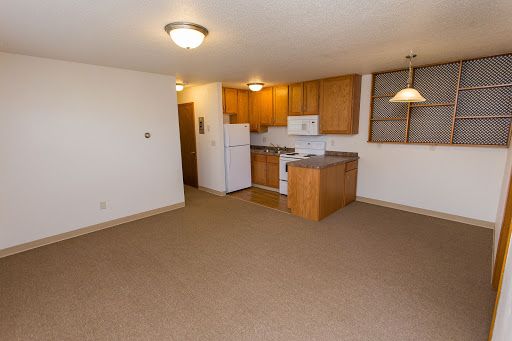 A cozy and functional kitchen area in an apartment with carpeted flooring.