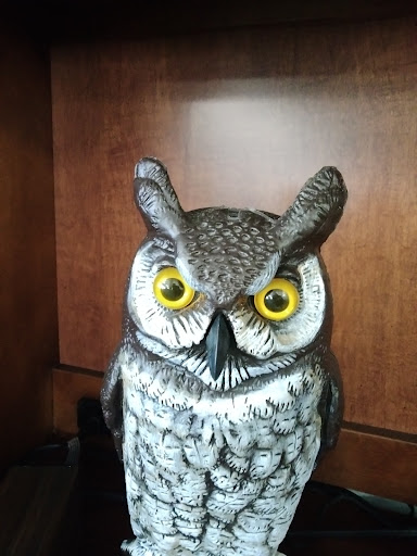 Walnut Home Care