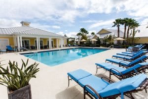 A tranquil outdoor pool area with blue lounge chairs and palm trees, perfect for a relaxing vacation.