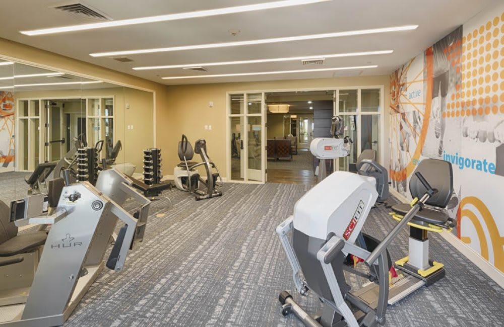 A well-equipped gym with various exercise machines and a mirrored wall.