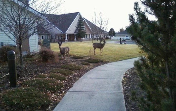 East Cascade Retirement Community