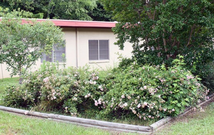 Pine Hills Health And Rehabilitation Center