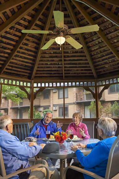 A group of seniors enjoying conversation in a gazebo.