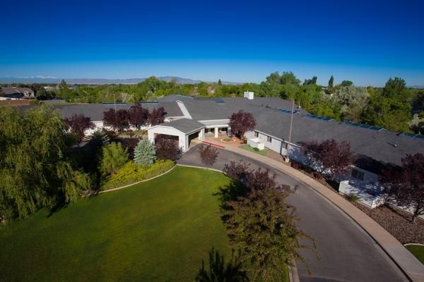 Apple Tree in Kaysville