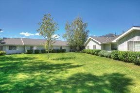 A sunny suburban backyard with a well-maintained lawn and trees.