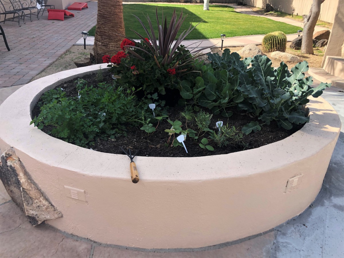 Bella Vita Assisted Living at Las Palmaritas