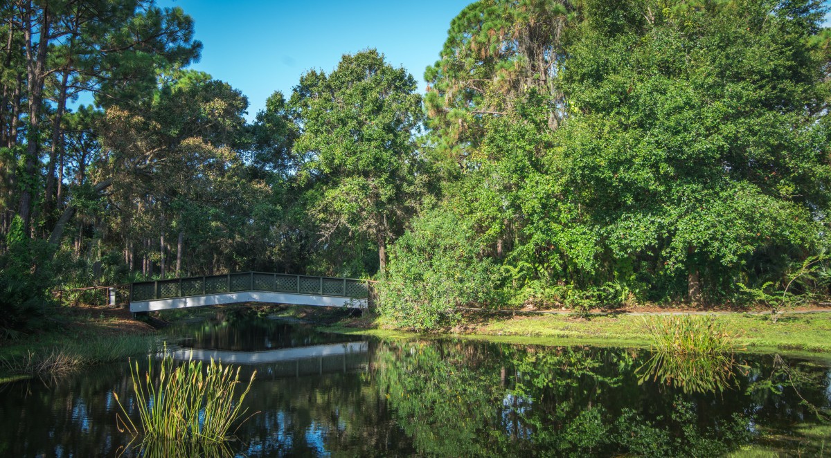 A serene landscape featuring a bridge over a peaceful pond surrounded by lush greenery.