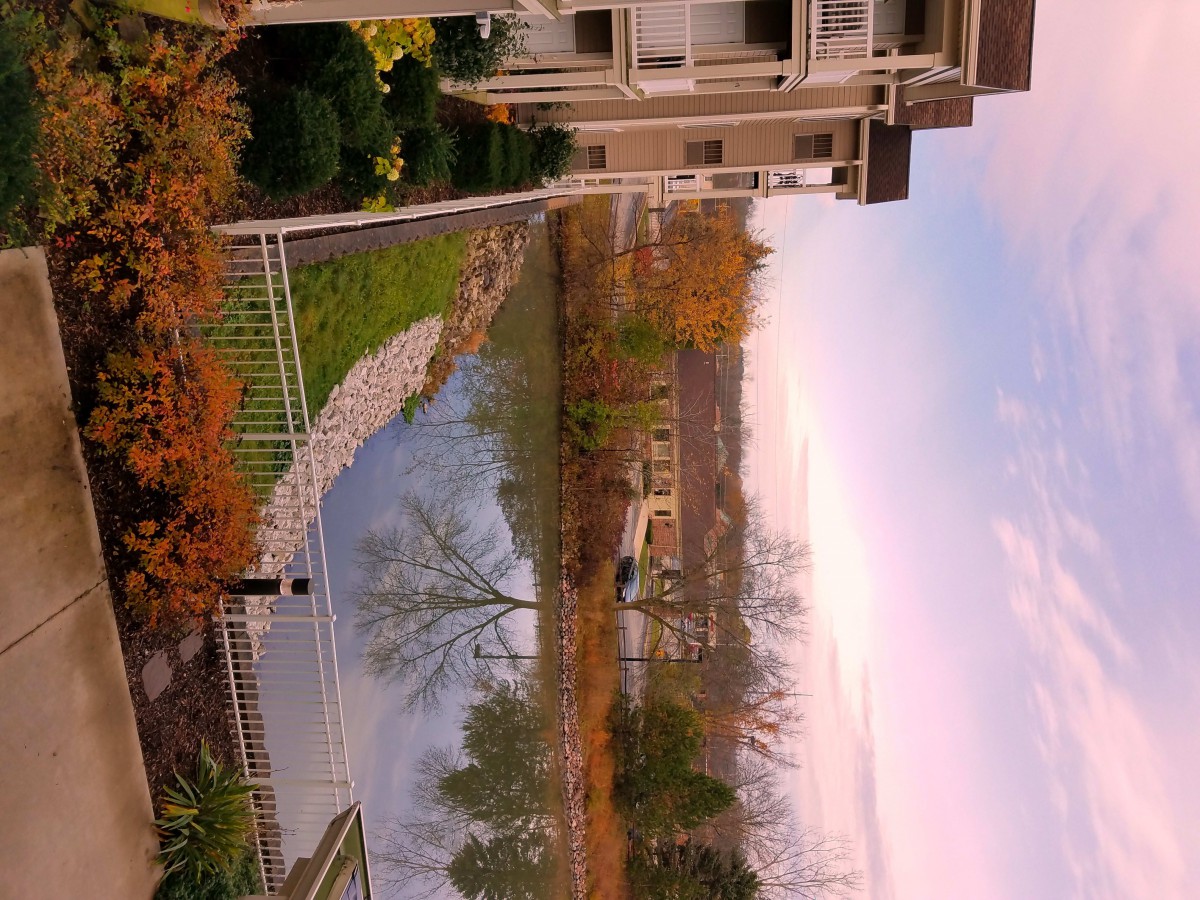 A peaceful residential area with a pond and autumn foliage.
