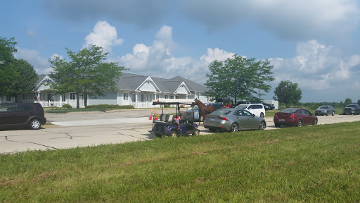 A curious roadside scene featuring a horse and several cars on a sunny day.