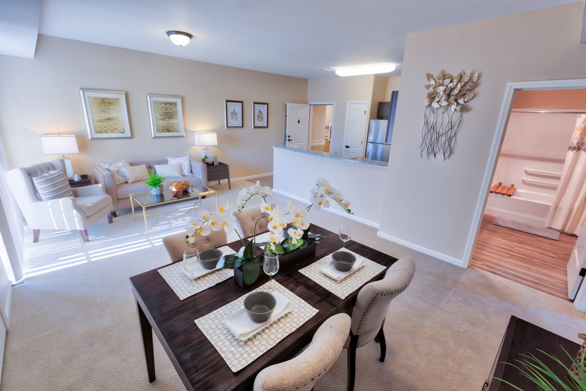 A modern open-concept dining and living area with elegant decor and a fully set table.