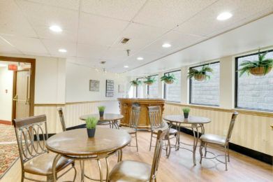 A cozy cafe interior with wooden tables and chairs, decorated with small plants near the windows.