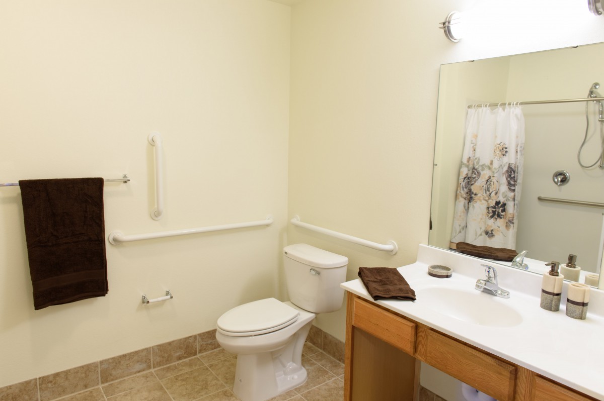 A clean and accessible bathroom with grab bars, a toilet, a sink with a vanity, and a mirror.