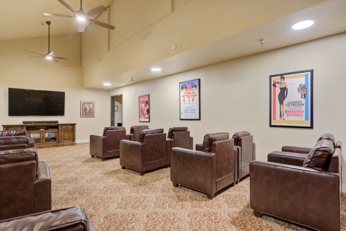 A cozy theater room with brown leather armchairs and movie posters on the walls.