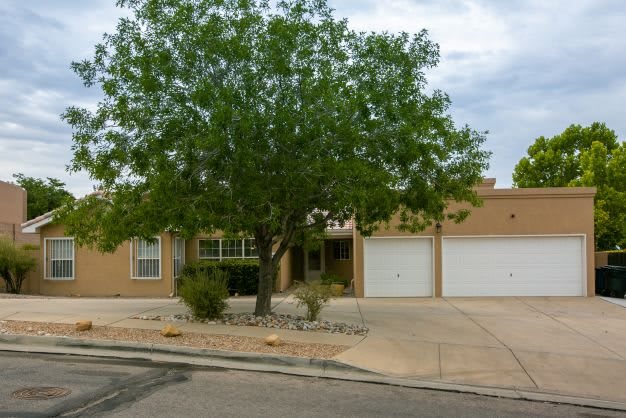 A suburban house with a large tree in front and a two-car garage.