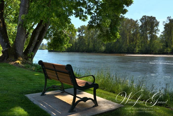 A peaceful bench by the riverside surrounded by lush greenery.