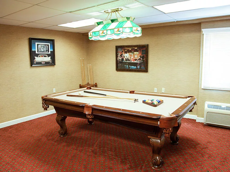 A cozy game room featuring a classic pool table with wall decor and a vintage hanging light.
