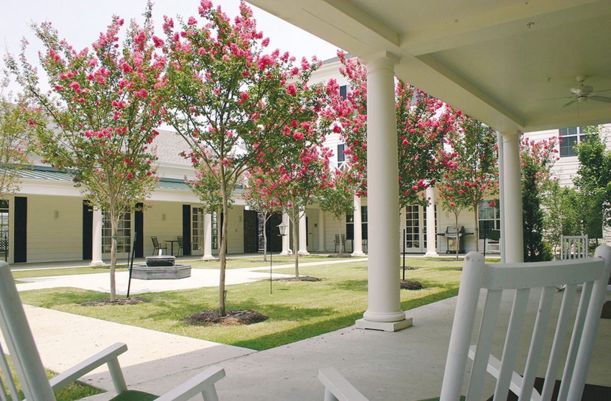 A peaceful courtyard with blooming trees and classic architecture.