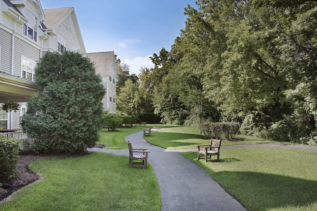 A serene park with a winding pathway lined by benches and lush trees.