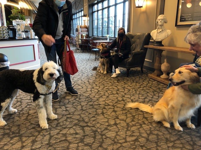 A group of dogs and their owners in a waiting area inside a building.