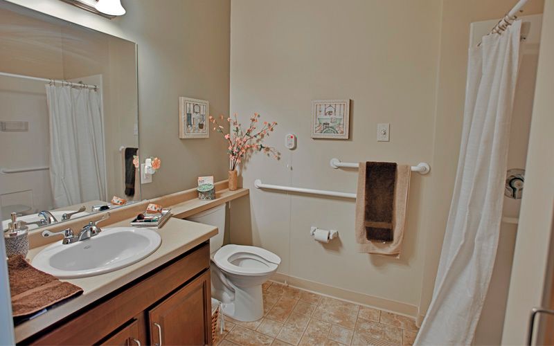 A clean and well-decorated bathroom with a sink, toilet, and mirror.
