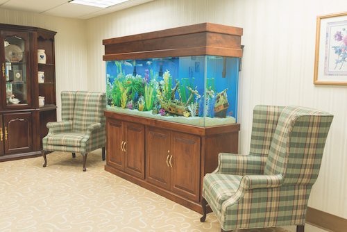 A large aquarium with a wooden cabinet base is situated between two plaid upholstered chairs in a well-lit room.