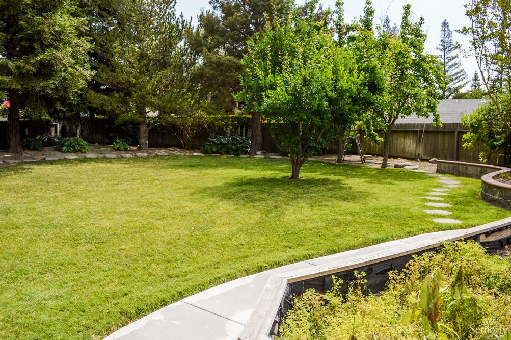 A well-maintained backyard garden with a lush lawn and a single tree.