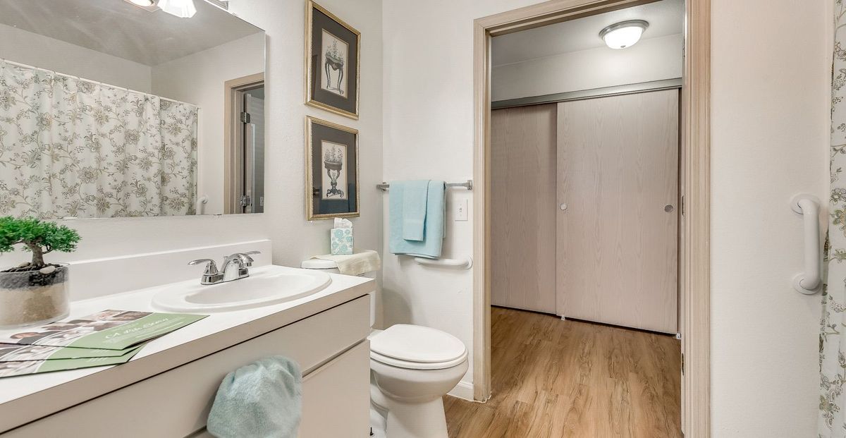 A well-decorated bathroom with a sink, toilet, and soft blue towels.